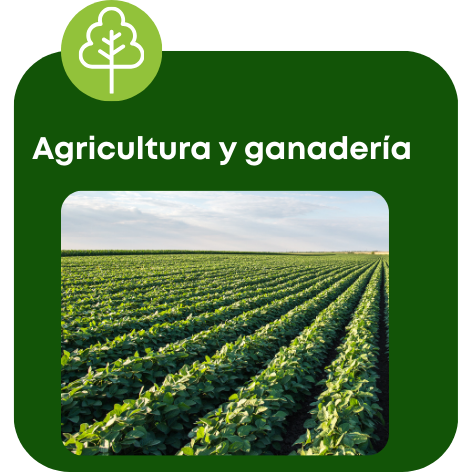 Diseño sin título (1)