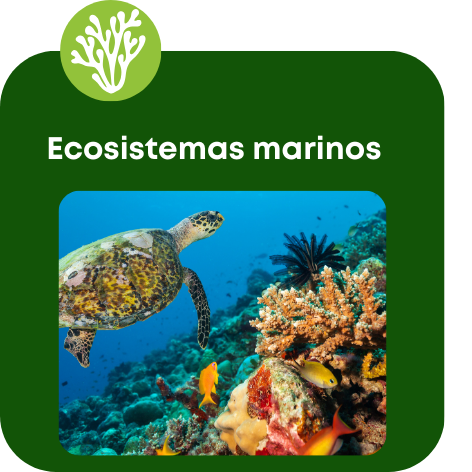 Diseño sin título (2)