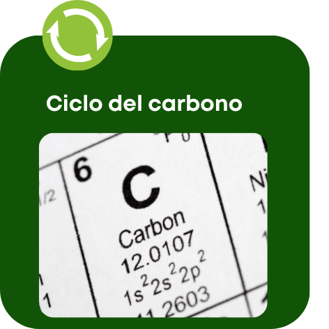 Diseño sin título (3)